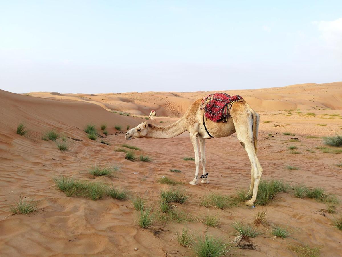 Sands Dream Tourism Camp Shahiq Экстерьер фото